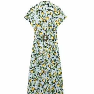 Zara Fruit Lemon Blue Printed Midi Dress sz L